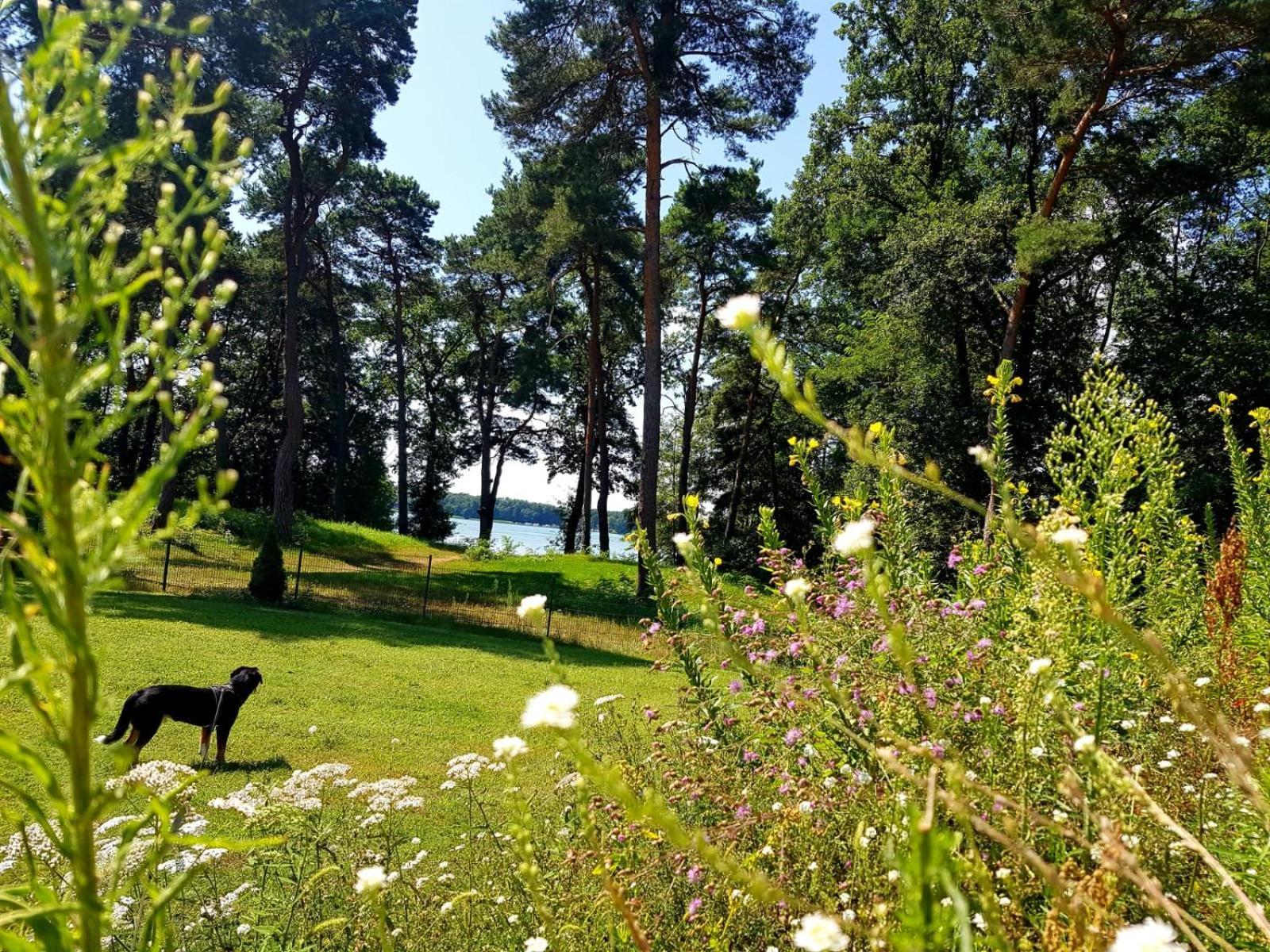 Seepark Wolfswinkel Storkow  Exterior foto
